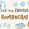 can_you_freeze_kombucha_illustrations