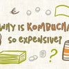 why_is_kombucha_so_expensive_infographic