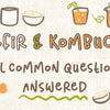 kefir_and_kombucha_common_questions