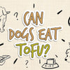 can_dogs_eat_tofu_illustration