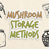 mushroom_storage_methods_text_and_pictures