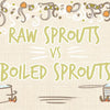 raw_sprouts_vs_broccoli_sprouts_illustration