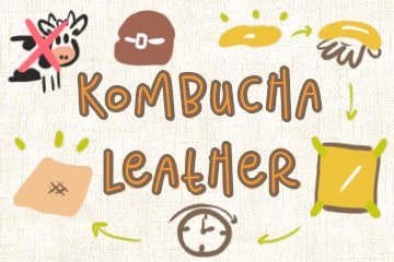 Kombucha Leather: Your Guide To SCOBY Leather