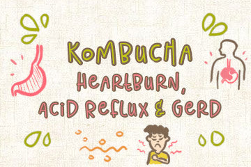 Kombucha on Heartburn, Acid Reflux, and GERD | What's The Problem?