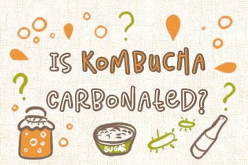 Is Kombucha Carbonated? How To Get The Perfect Fizz