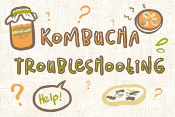 Kombucha Troubleshooting Guide: Every Problem, Every Solution