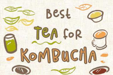 Best Tea For Kombucha: Detailed Guide To Each Strain