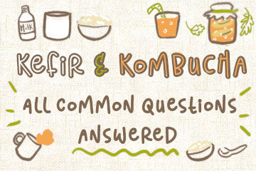 Kefir And Kombucha: All Common Questions Answered