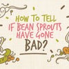 how_to_tell_if_bean_sprouts_are_bad_illustrations