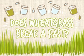 Does Wheatgrass Break A Fast? The Quick Guide