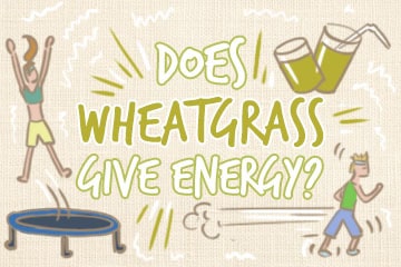 Does Wheatgrass Give You Energy? The Quick Guide