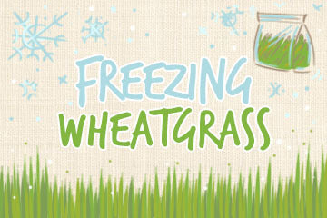 Freezing Wheatgrass: The Comprehensive Guide