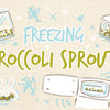 freezing_broccoli_sprouts_illustrations