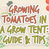GROWING TOMATOES IN A GROW TENT: GUIDE & TIPS
