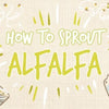 how_to_sprout_alfalfa_infographic