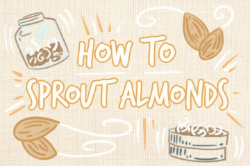 Sprouting Almonds: The Definitive Guide