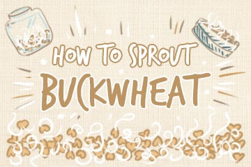 How To Sprout Buckwheat: A Comprehensive Guide