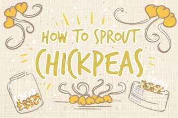 Sprouting Chickpeas: The Complete Guide