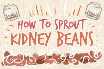 How To Sprout Kidney Beans: The Comprehensive Guide
