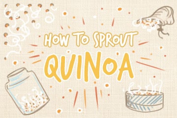 Sprouting Quinoa: The Definitive Guide