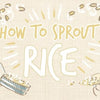 how_to_sprout_rice_illustrations