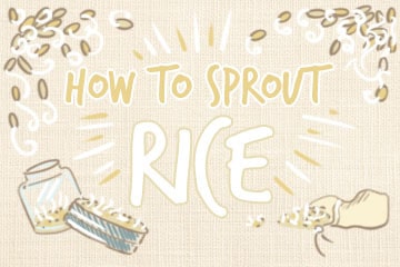 How To Sprout Rice: A Comprehensive Guide – Grow Your Pantry