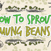 how_to_sprout_mung_beans_illustration