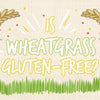 is_wheat_grass_gluten_free_infographic