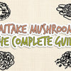 maitake_mushroom_illustration