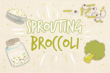 Sprouting Broccoli: The Complete Guide