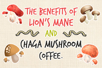 The Benefits Of Lion’s Mane And Chaga Mushroom Coffee Part 2