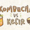 kombucha_vs_kefir_illustration