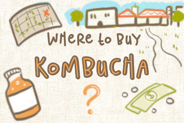 Where To Buy Kombucha? Every Store Detailed
