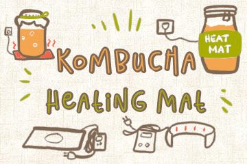 Kombucha Heating Mat And Pads: A Buyer’s Guide
