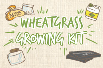 Wheatgrass Growing Kit: Your Complete Guide