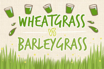 Wheatgrass Vs Barley Grass: The Comparative Guide