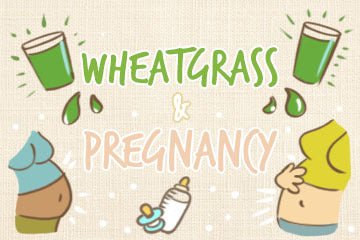 Wheatgrass And Pregnancy: The Thorough Guide