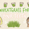 wheatgrass_for_your_teeth_infographic