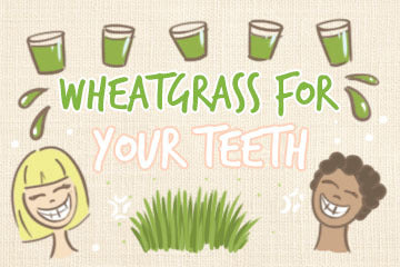 Wheatgrass For Teeth: The Oral Health Guide