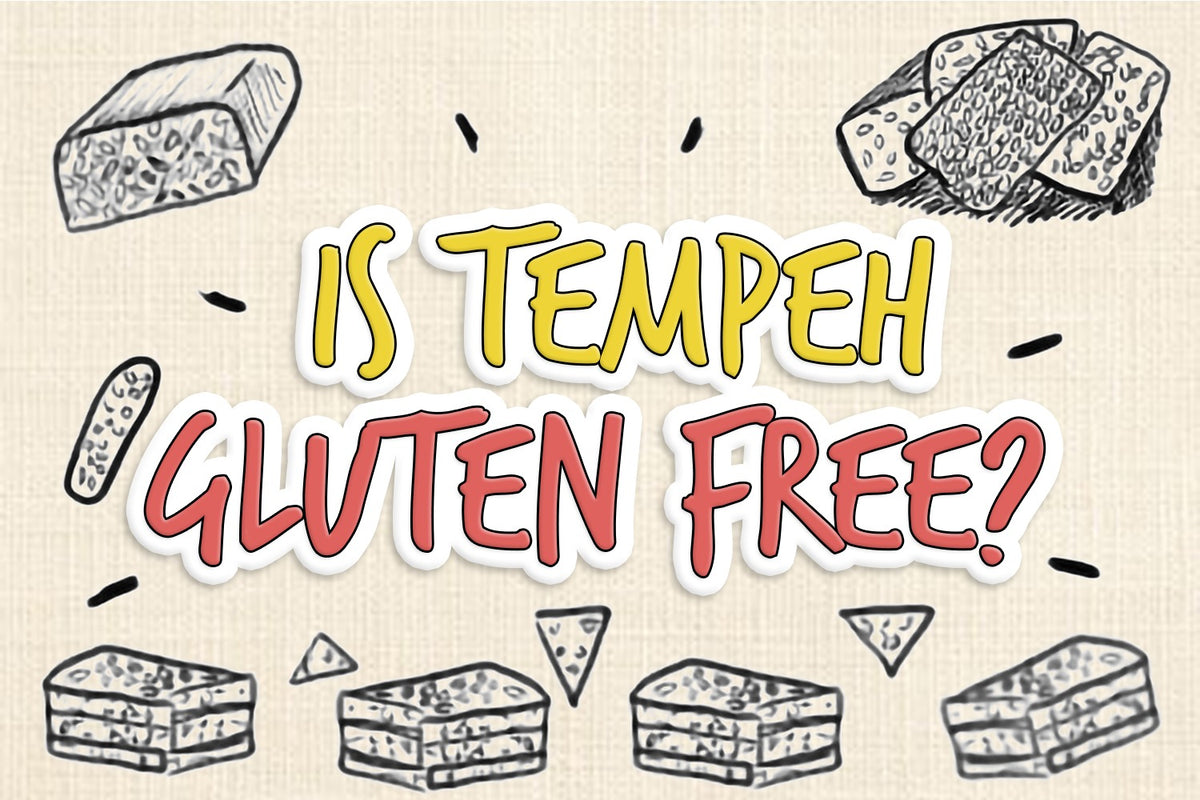 Is Tempeh Gluten Free? The Celiac's Guide Grow Your Pantry