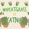 wheatgrass_vs_catnip_infographic