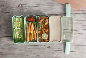 Microwave Safe Lunch Box and Soup Cups