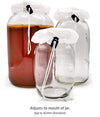 kombucha, main image