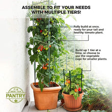 Load image into Gallery viewer, Grow Your Pantry Tomato Cage - Set of 3 Heavy Duty Tomato Cages That Can Hold Up to 10KG of Tomatoes and Other Vegetables - with Bonus Plant Clips and 100M Twist Tie Device - Tomato Cages for Garden